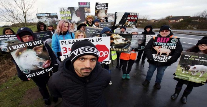 Il patto tra immigrazionisti ed animalisti